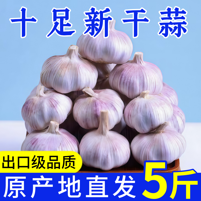 正宗山东金乡优质大蒜
