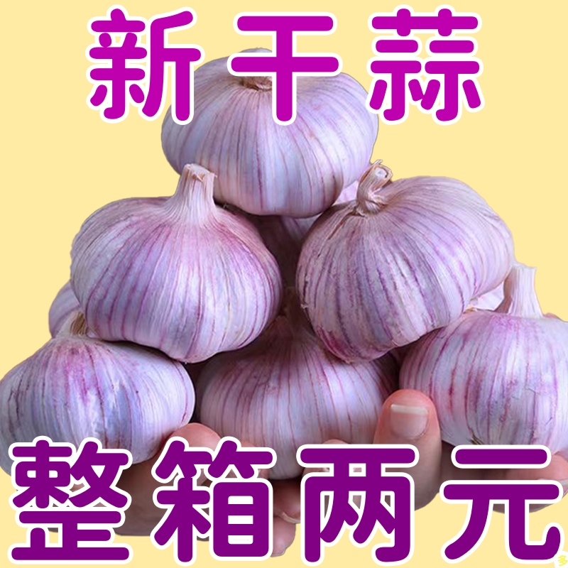 今日大蒜头大蒜头每购