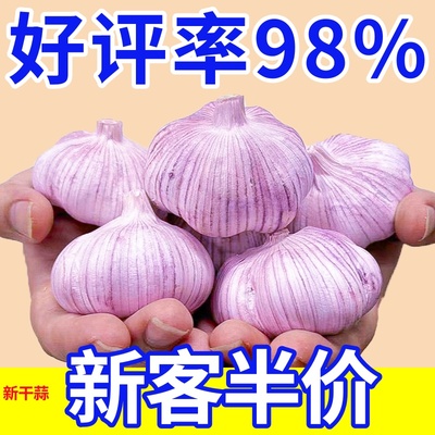 金乡紫皮大蒜头干蒜【突破底价】