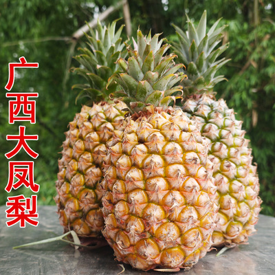 广西大凤梨新鲜水果手撕凤梨