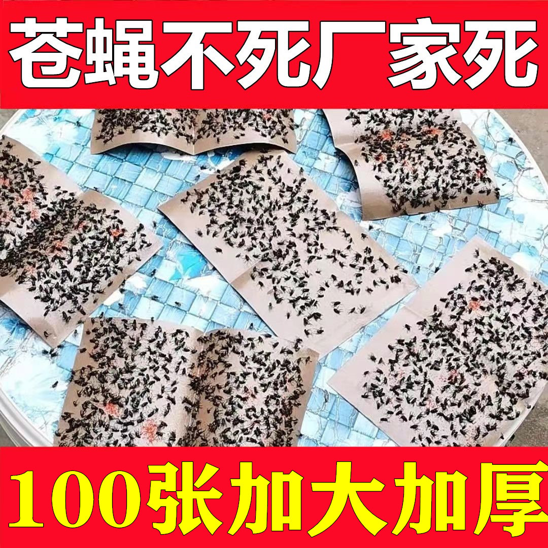 灭蝇纸苍蝇贴强力粘苍蝇板纸捕蝇子贴抓除苍蝇神器商用粘蝇贴