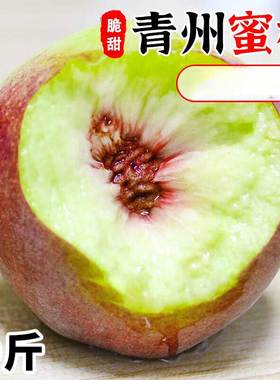青州蜜桃青皮桃子新鲜脆桃脱骨离核毛桃丑桃当季现摘5斤蜜桃大果