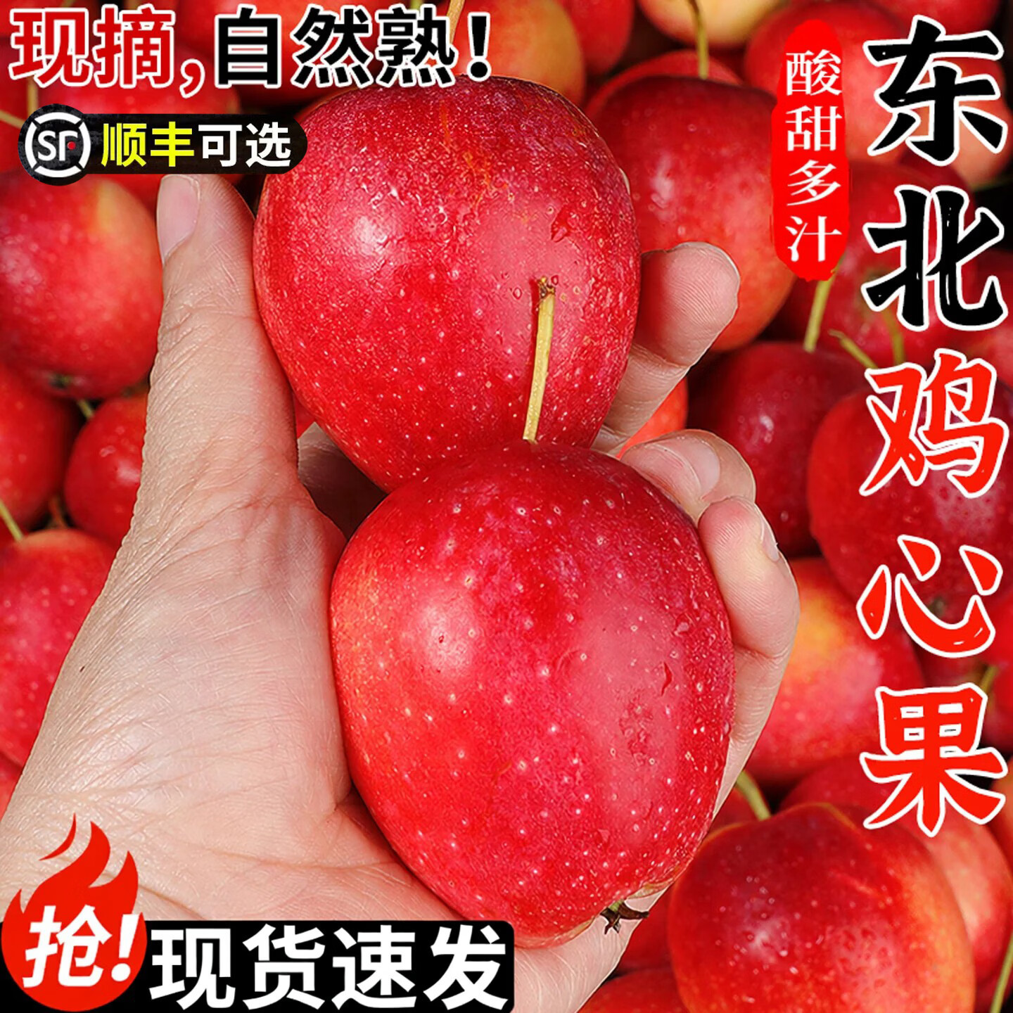 正宗东北鸡心果新鲜小苹果当季水果东北海棠果酸甜孕妇整箱鸡心果