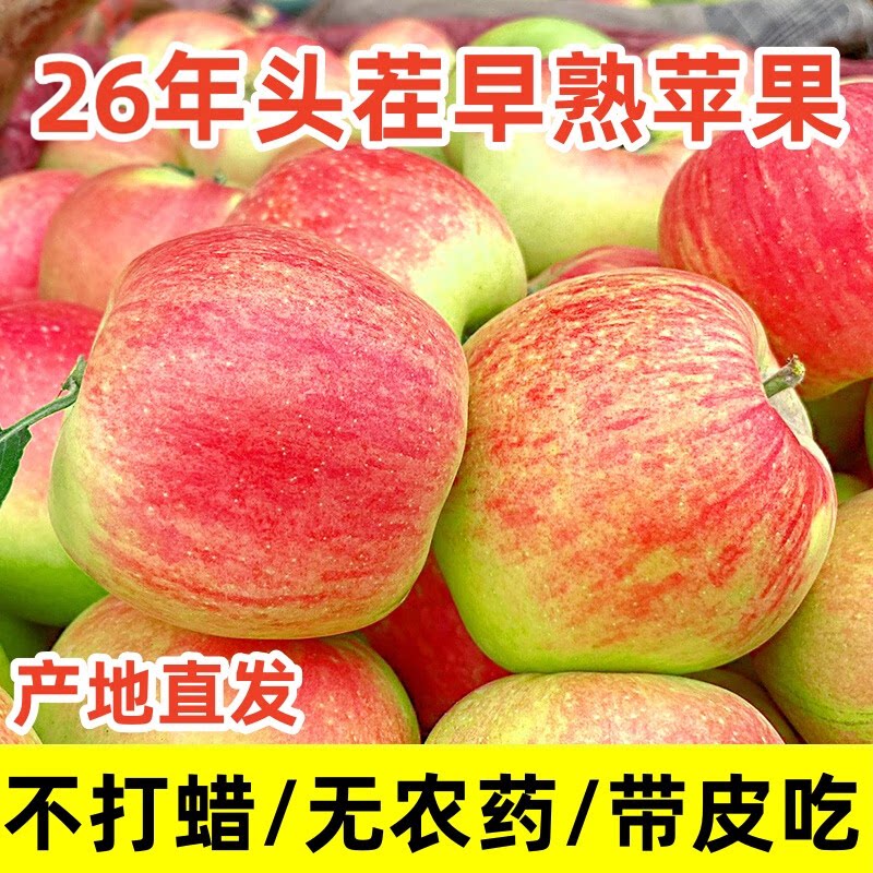 陕西嘎啦苹果新鲜现摘嘎啦小苹果苹果
