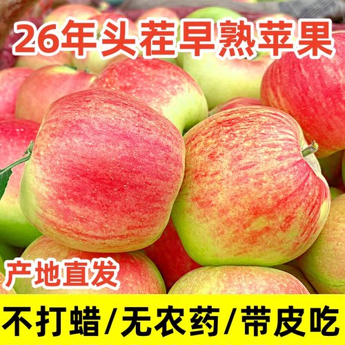 陕西嘎啦苹果新鲜现摘嘎啦小苹果整箱水果酸甜高山苹果富士可顺丰
