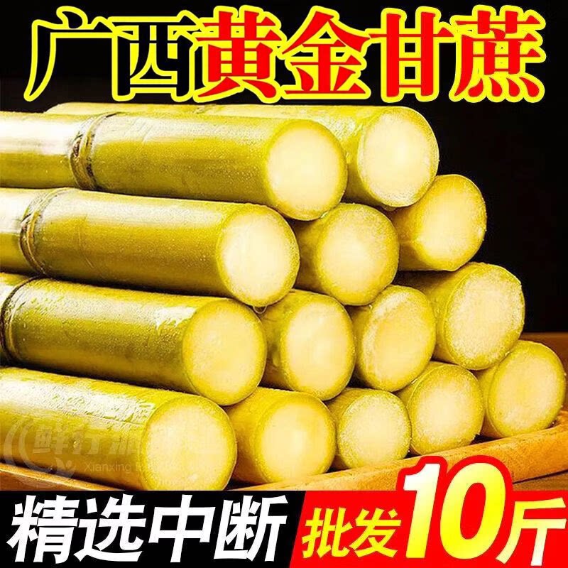 正宗广西黄金甘蔗当季新鲜黄皮甘其它