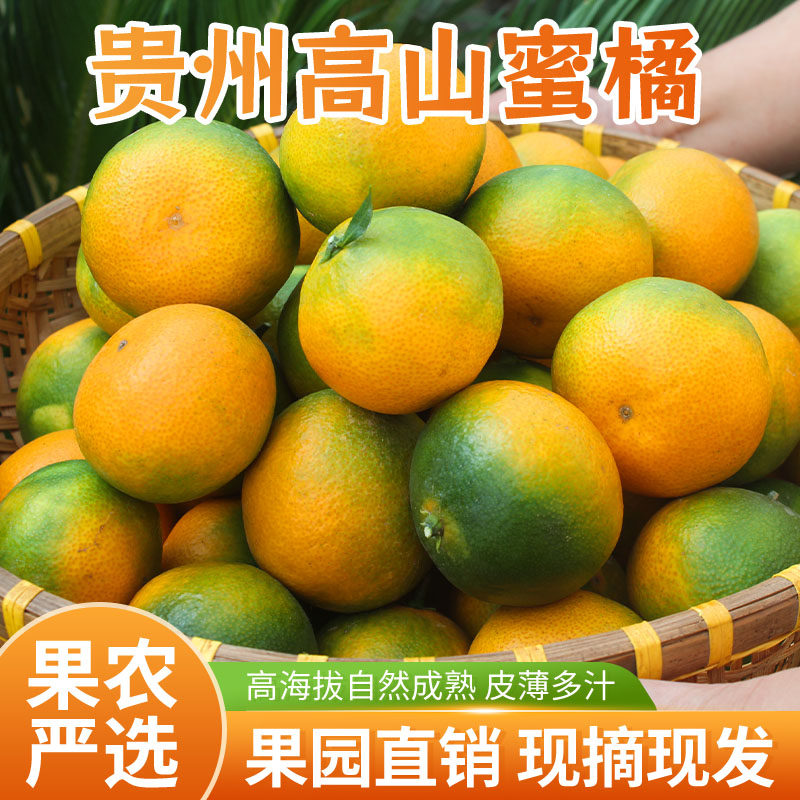 【酸甜多汁】贵州蜜橘子特早熟蜜桔薄皮新鲜超甜当季新鲜水果橙子