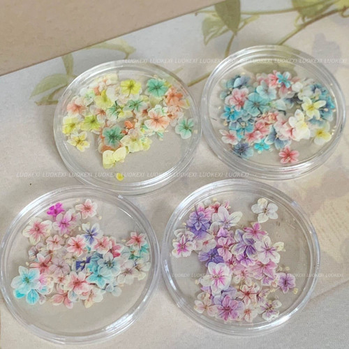 小瑄网红日系花饰品美甲新品莫奈五瓣花ins小花油画干花混合配色