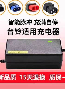 灌胶防水适用台铃电动车电池充电器48V12AH60V20AH72V32AH云插4针