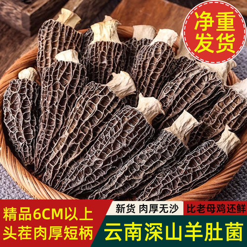 云南特产羊肚菌干货新货煲汤食材