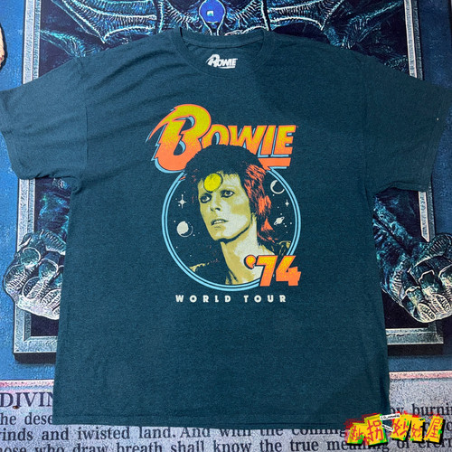 【现货掉落】David Bowie中古稀有孤品oversize短袖T恤vintage