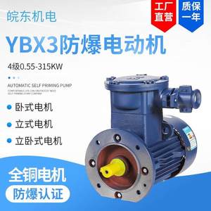 厂家极4YBX3隔爆电机45kw55kw75kw90kw110千瓦38动0V防爆电机