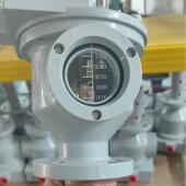 QJ2 变压器轻重瓦斯气体继电器QJ3 工厂直销沈阳全密封式