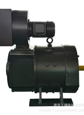 工厂直发王牌电机 Z2直流电机 Z2-101 100KW 220V 1500r/min IC06