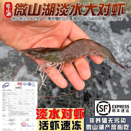 微山湖淡水野生大对虾河虾发顺丰