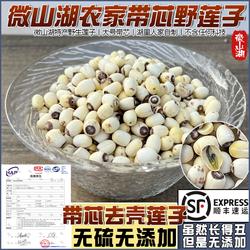 微山湖特产白莲子野莲蓬有芯莲子粉糯无硫磺干货杂粮农家自