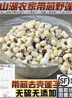 微山湖特产白莲子带芯粉糯干货