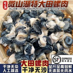 特大号田螺肉新鲜生态螺丝肉手工去壳螺蛳粉净肉商用批发顺丰