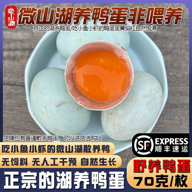 微山湖特产湖养麻鸭鸭蛋新鲜顺丰