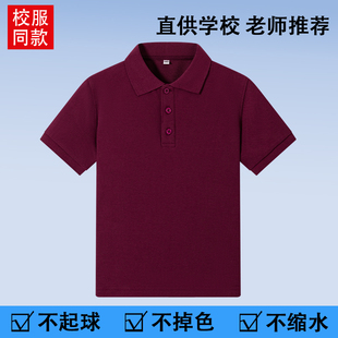 英伦风 儿童校服男女童夏季 短袖 枣红色紫色T恤半袖 纯色运动Polo衫