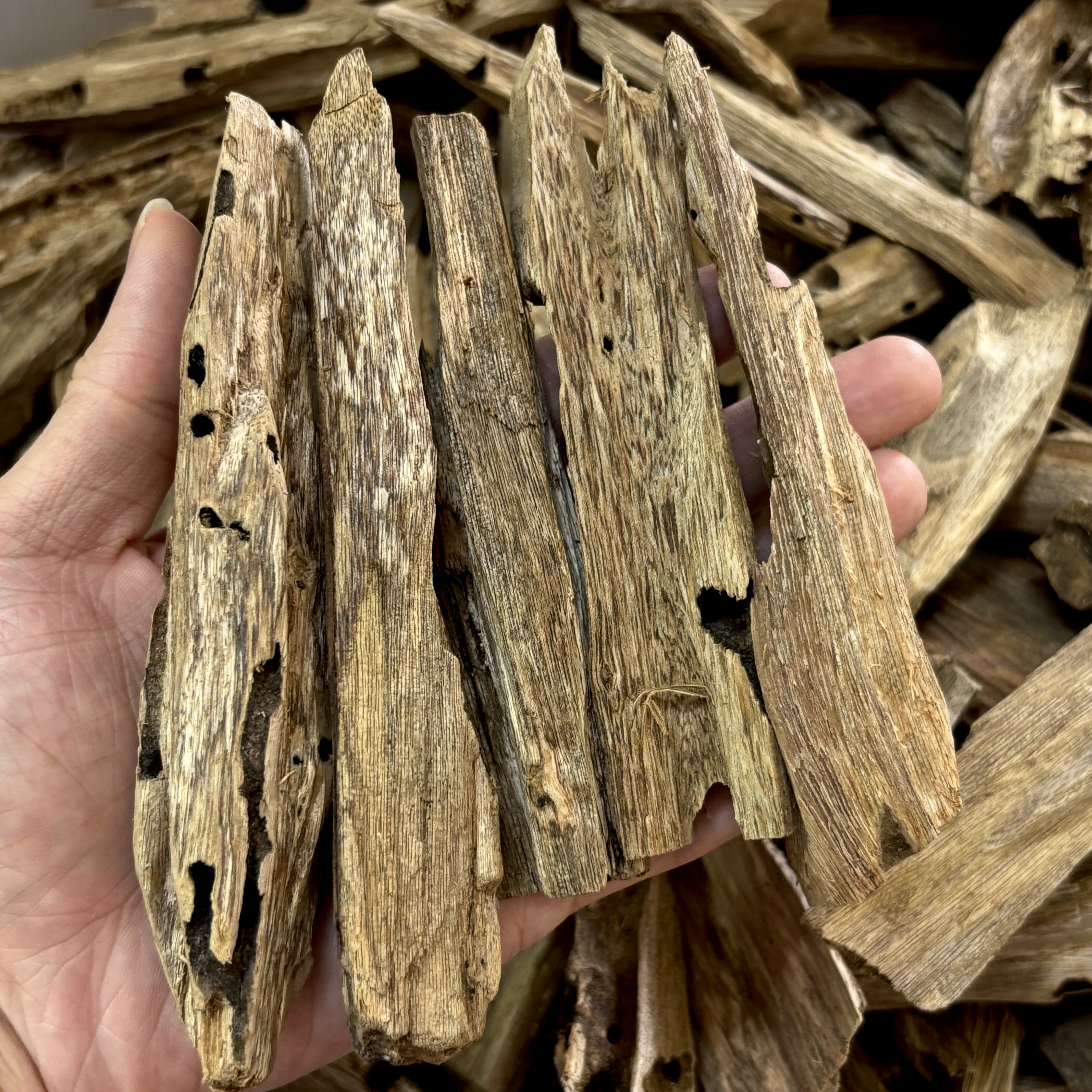 天然3A海南沉香虫漏料原木料无添加纯正老料家用上炉熏香打粉制香