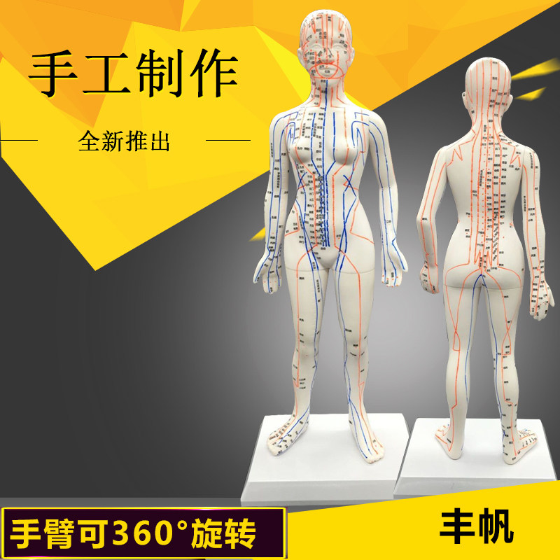 清晰刻字50cm人体穴位模型中医针灸教学男女铜人48全身经络按摩图在类目 OTC药品/医疗器械/计生用品, 医疗器械, 医用用具中 - 来自Buy2taobao.com提供专业的淘宝代购服务