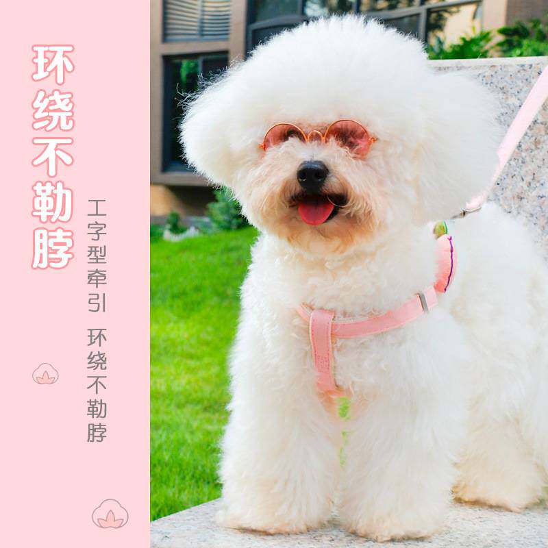 狗狗牵引绳背心式遛狗绳狗绳子调节小型犬胸背带泰迪可爱宠物用品