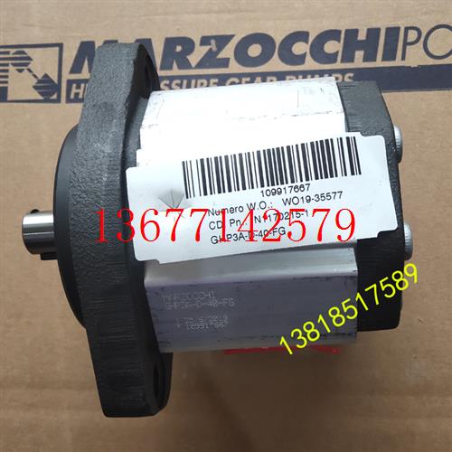 议价GHP3A-D-33-FG齿轮泵马祖奇MARZOCCHI意大利