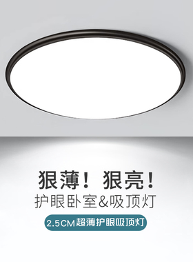 北欧led苹果吸顶灯简约现代客厅餐厅卧室书房阳台灯2026新款灯具
