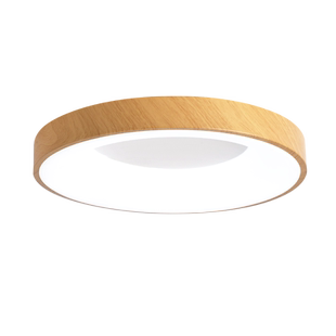 2024新款LED客厅灯主卧室房间书房原木风吸顶灯阳台过道木纹灯具