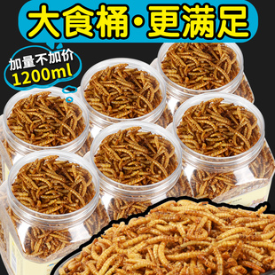 金丝熊粮食品牌销量前三的宝贝