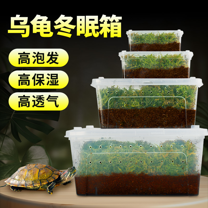 乌龟冬眠箱爬宠饲养盒蜥蜴角蛙守宫过冬用品龟专用椰土苔藓人渣盒