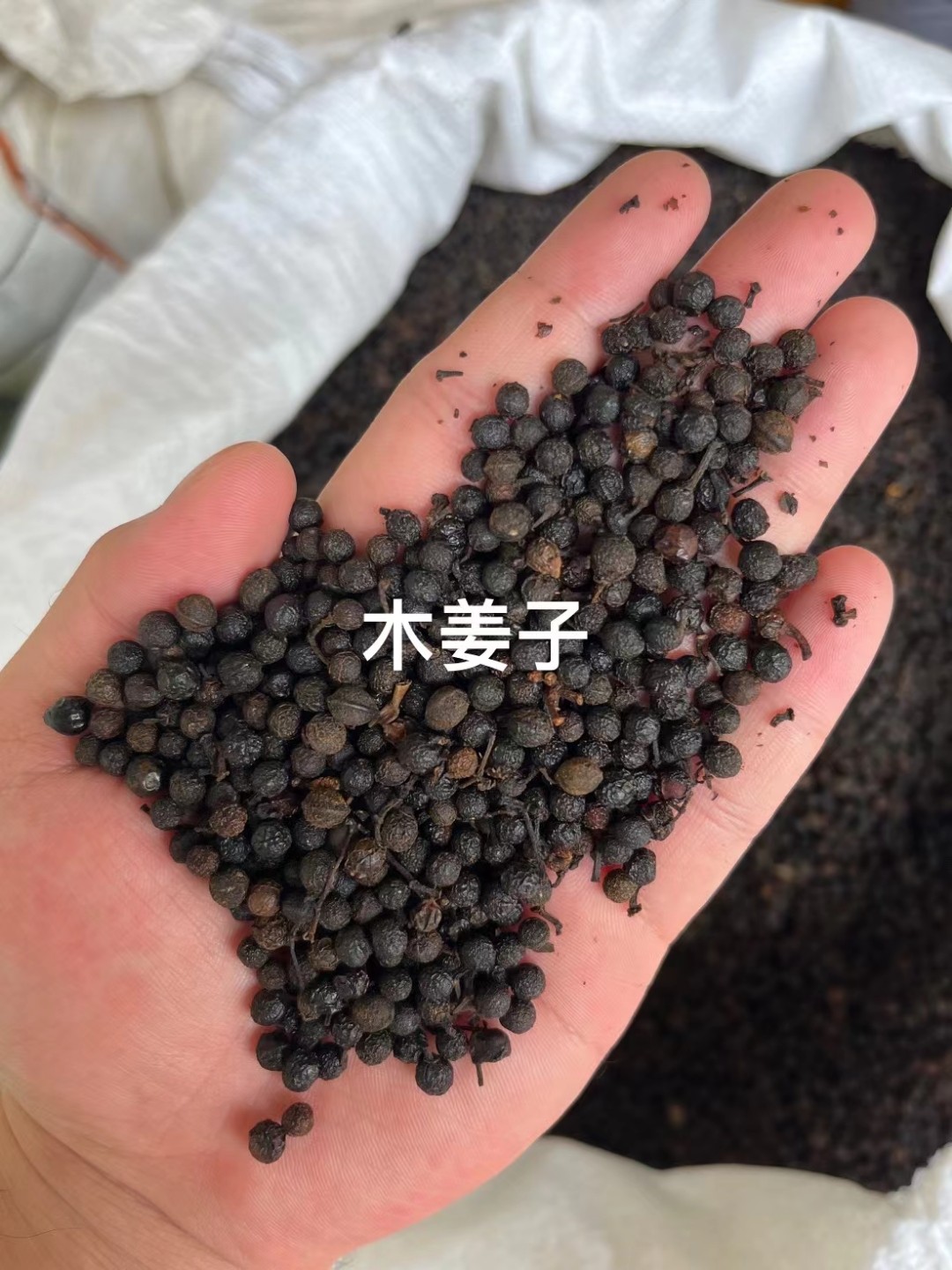 木姜子种子3种籽山苍子青皮树过山香野胡椒澄茄子沙海藤草种子