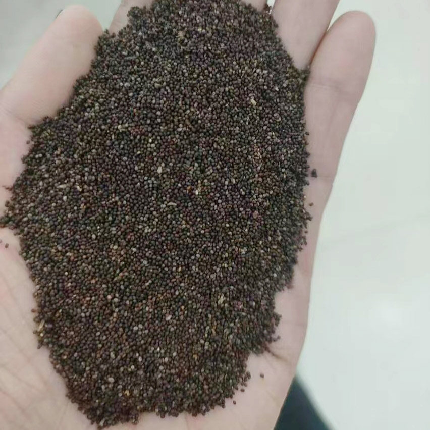 秃疮花种子也叫秃子花勒马回兔子花3