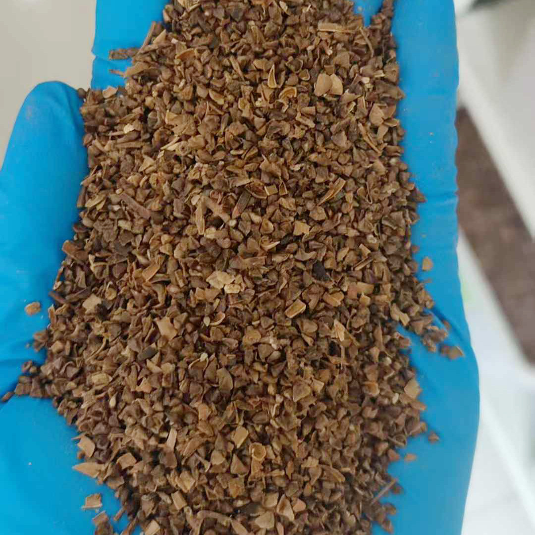紫薇种子4