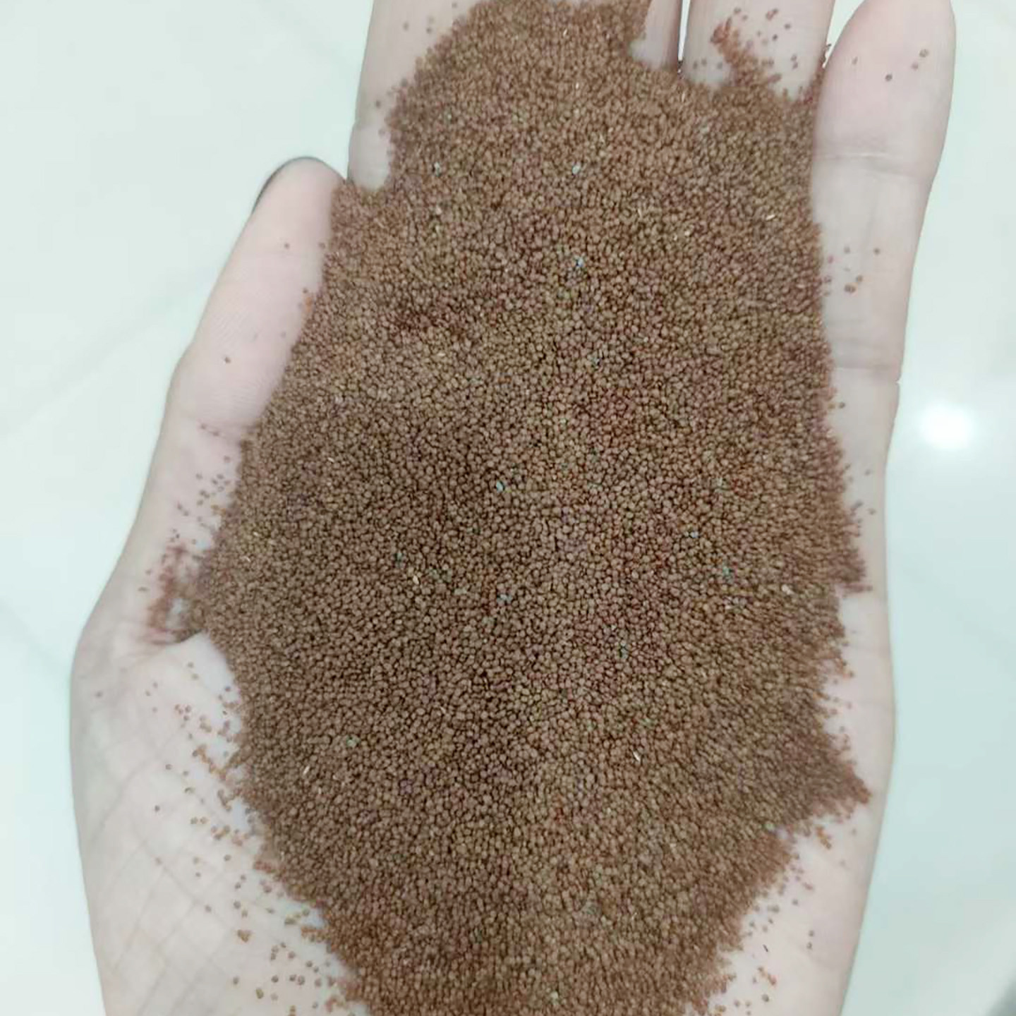 小对叶水草种子新货4