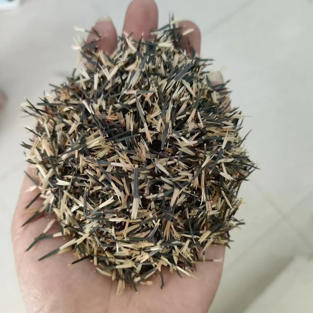 孔雀草种子