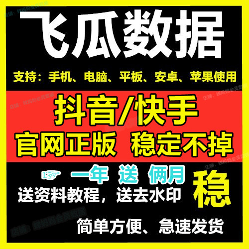 飞的瓜呀 数据专业版豪华版 数据分析工具