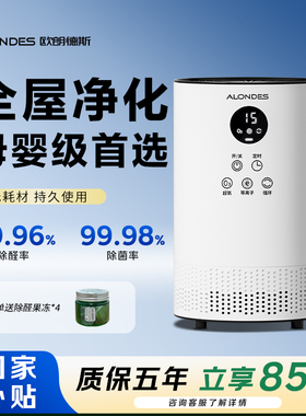 欧朗德斯除醛仪空气净化器小型净化机新房急入住家用除甲醛神器C2