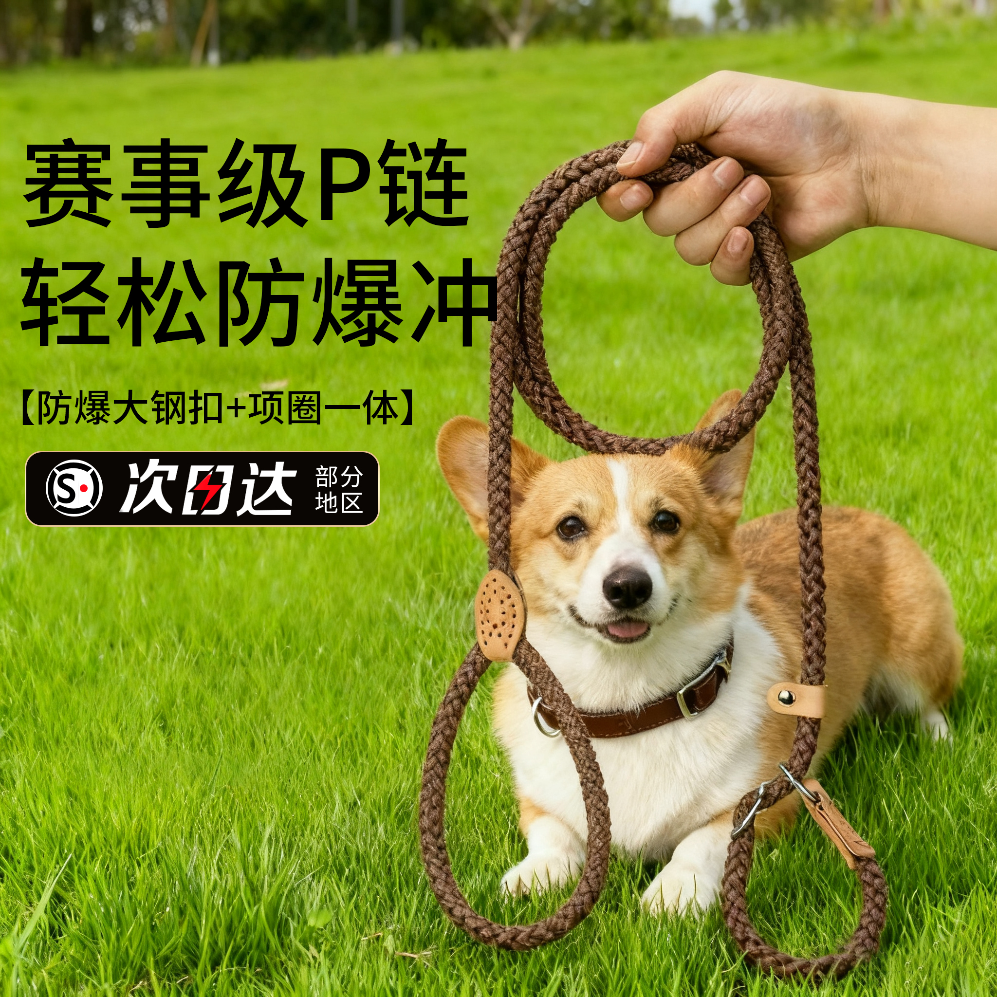 赛级狗狗牵引绳p链牵引绳