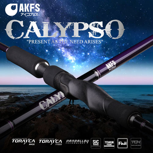 爱克飞丝CALYPSO远投海钓竿