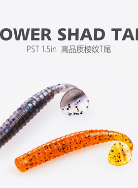 ISSEI常吉爆震T尾软饵加盐加腥浮水鲈鱼鳜鱼鳟鱼翘嘴泥鳅路亚假饵