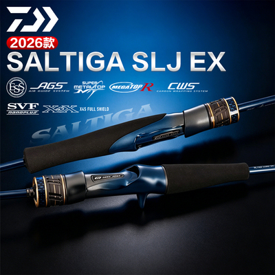 达亿瓦SALTIGASLJEX轻量路亚竿