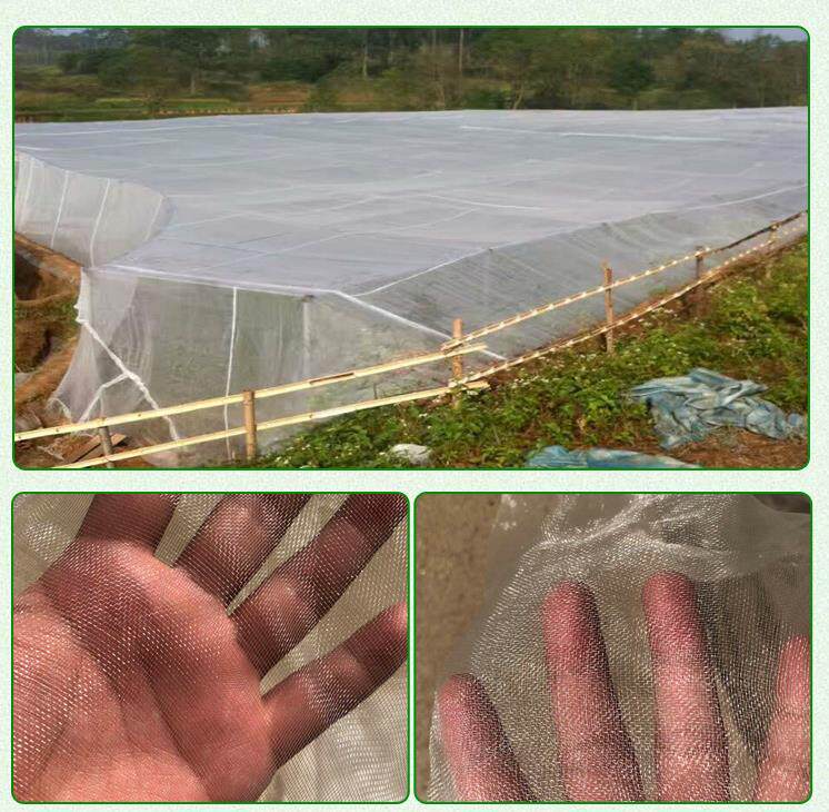 Vineyard Orchard Anti-bird netting Pest control Bird plant Bag Fruit tree Block Protection network protect ventilationin the Flower delivery/Flowers simulation/Plants gardening , Gardening supplies , Other Garden Supplies  category - from Buy2taobao.com to provide professional Taobao agent buy service