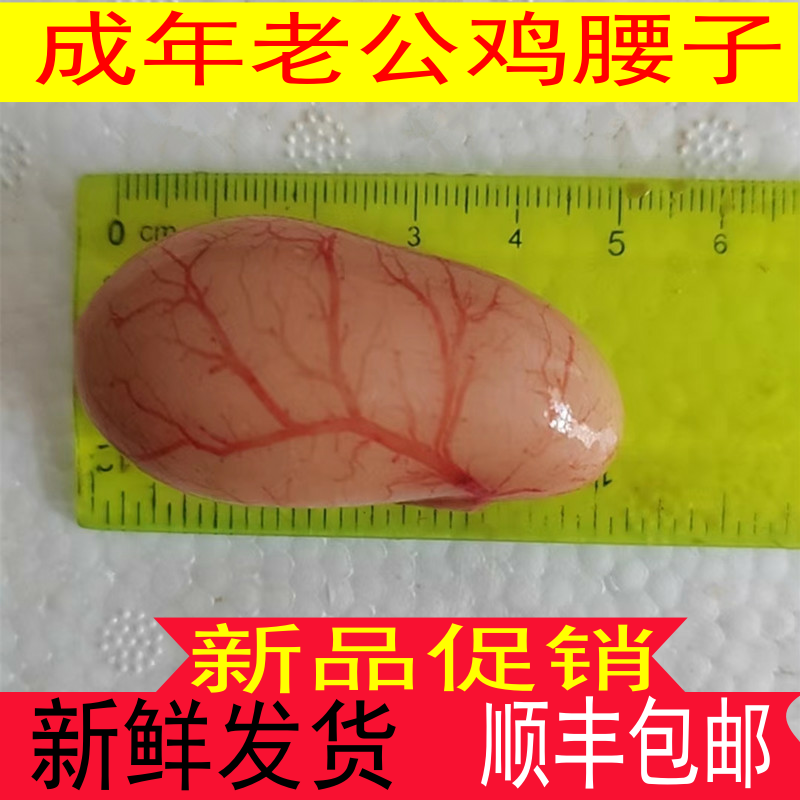 新鲜鸡子鸡腰子公鸡睾丸成年老公鸡大腰子鸡肾鸡卵公鸡蛋土鸡腰子