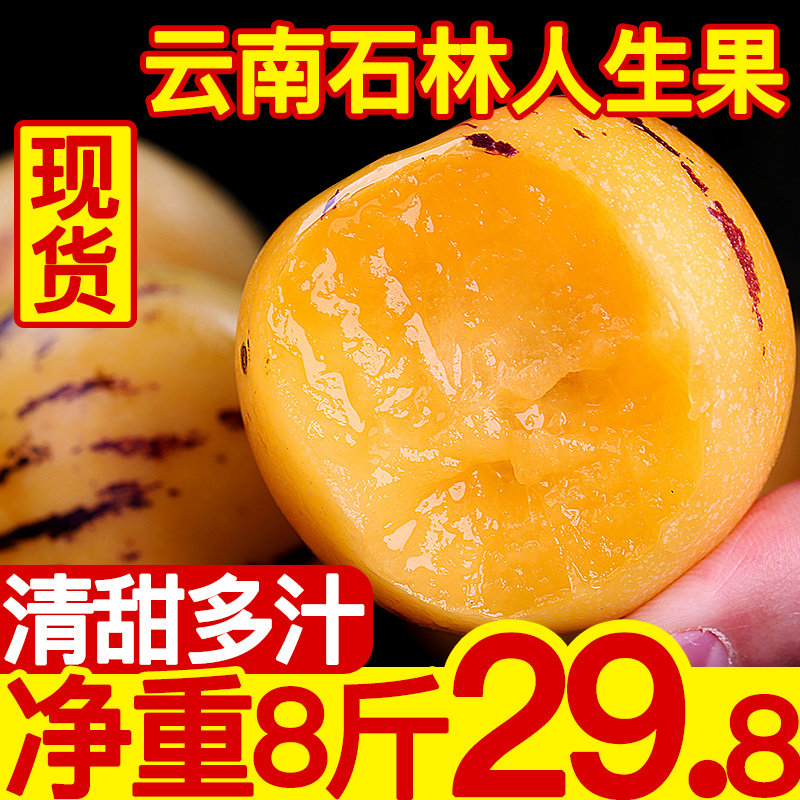 云南石林人参果水果新鲜黄肉圆果当季批发人叁果净重8斤在类目 水产肉类/新鲜蔬果/熟食, 新鲜水果, 人参果中 - 来自Buy2taobao.com提供专业的淘宝代购服务
