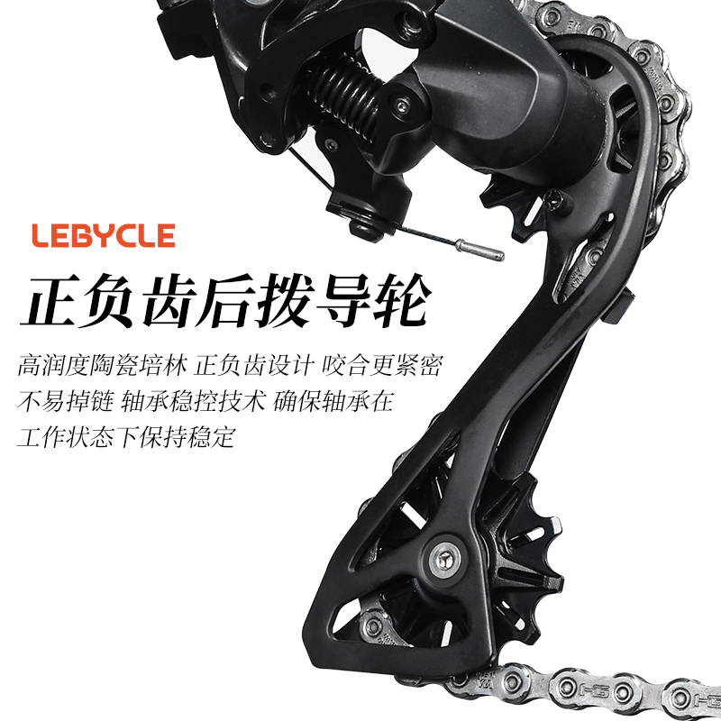 LEBYCLE/乐百客正负齿导轮