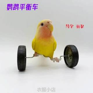 鹦鹉滑轮玩具道具用品车鸟中小型滑板玩技能玄凤鸟解闷平衡训练%