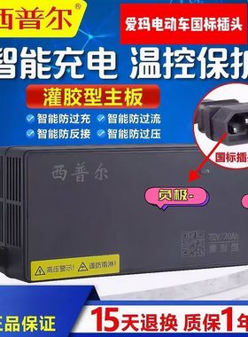 西普尔电瓶动车充电器适用爱玛国标宝岛60v20阿米尼72v30ah欧派