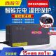 西普尔电瓶动车充电器适用爱玛国标宝岛60v20阿米尼72v30ah欧派